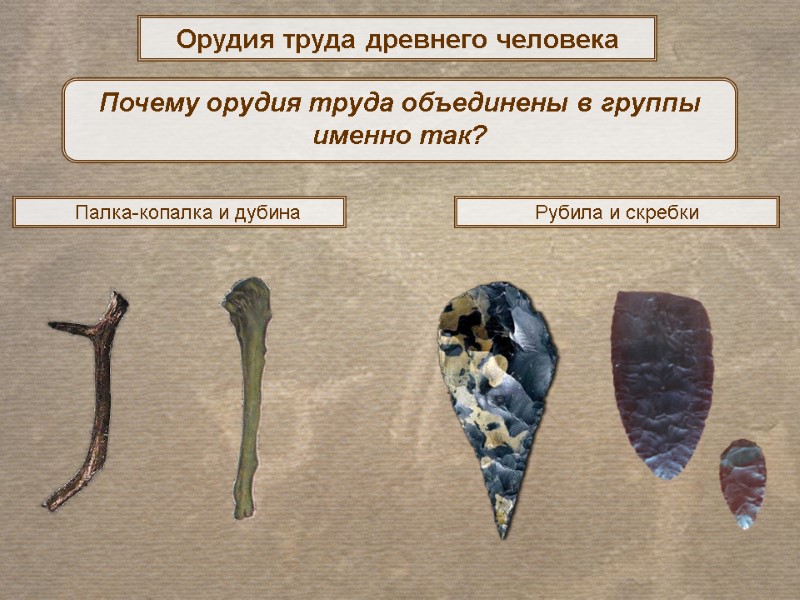 Орудия труда древнего человека Рубила и скребки Почему орудия труда объединены в группы именно